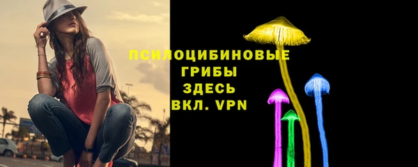 герыч Аркадак