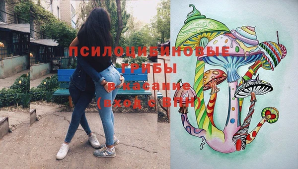 дурь Арсеньев