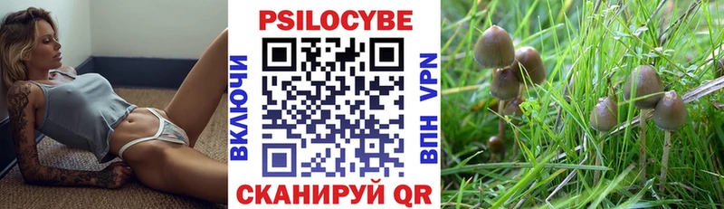 Псилоцибиновые грибы Magic Shrooms  Прохладный 